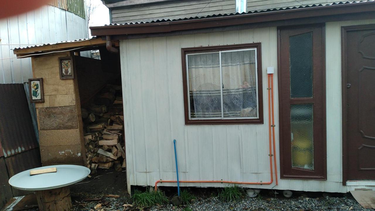 Cabana Independiente No Pareada Lugar Tranquilo Valdivia Extérieur photo